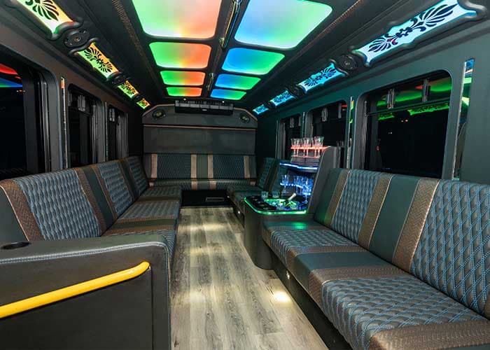 20 Passenger Party Bus gallery image 4 for limousine service in Halton Hills