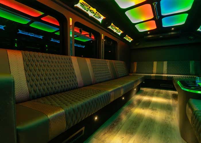 20 Passenger Party Bus gallery image 6 for limousine service in Halton Hills