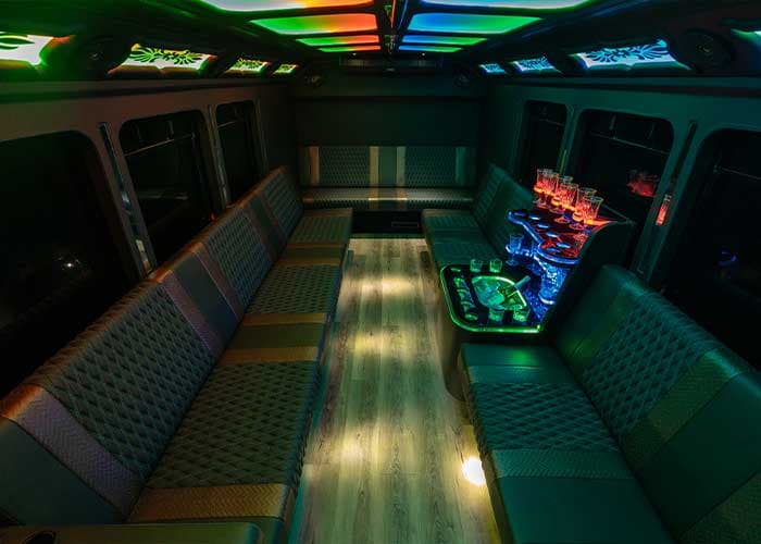 20 Passenger Party Bus gallery image 8 for limousine service in Halton Hills
