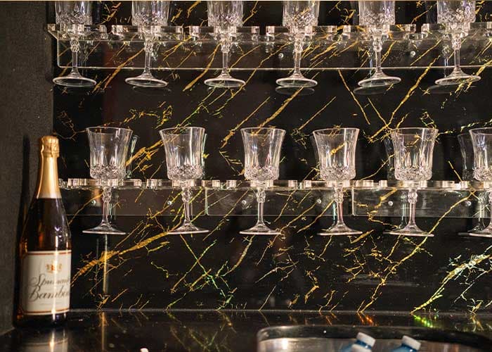 45/50 Passenger Party Bus gallery image 4 for limousine service in Halton Hills