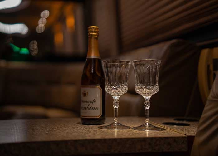 45/50 Passenger Party Bus gallery image 6 for limousine service in Halton Hills