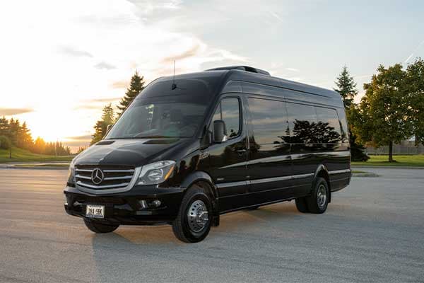 Premium limousine service fleet in Halton Hills, Ontario